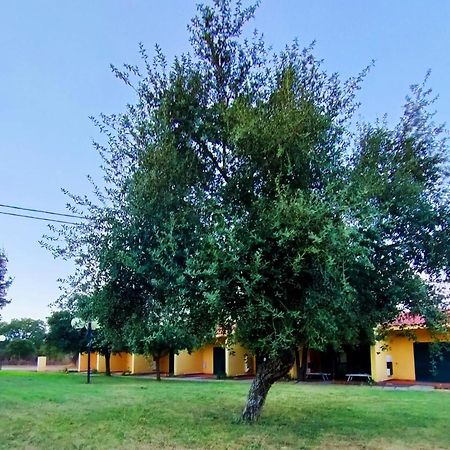 Nuraghe Ruiu Camping & Bungalow Norbello Exteriér fotografie