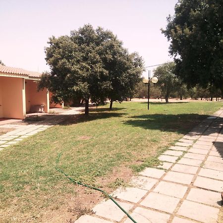 Nuraghe Ruiu Camping & Bungalow Norbello Exteriér fotografie