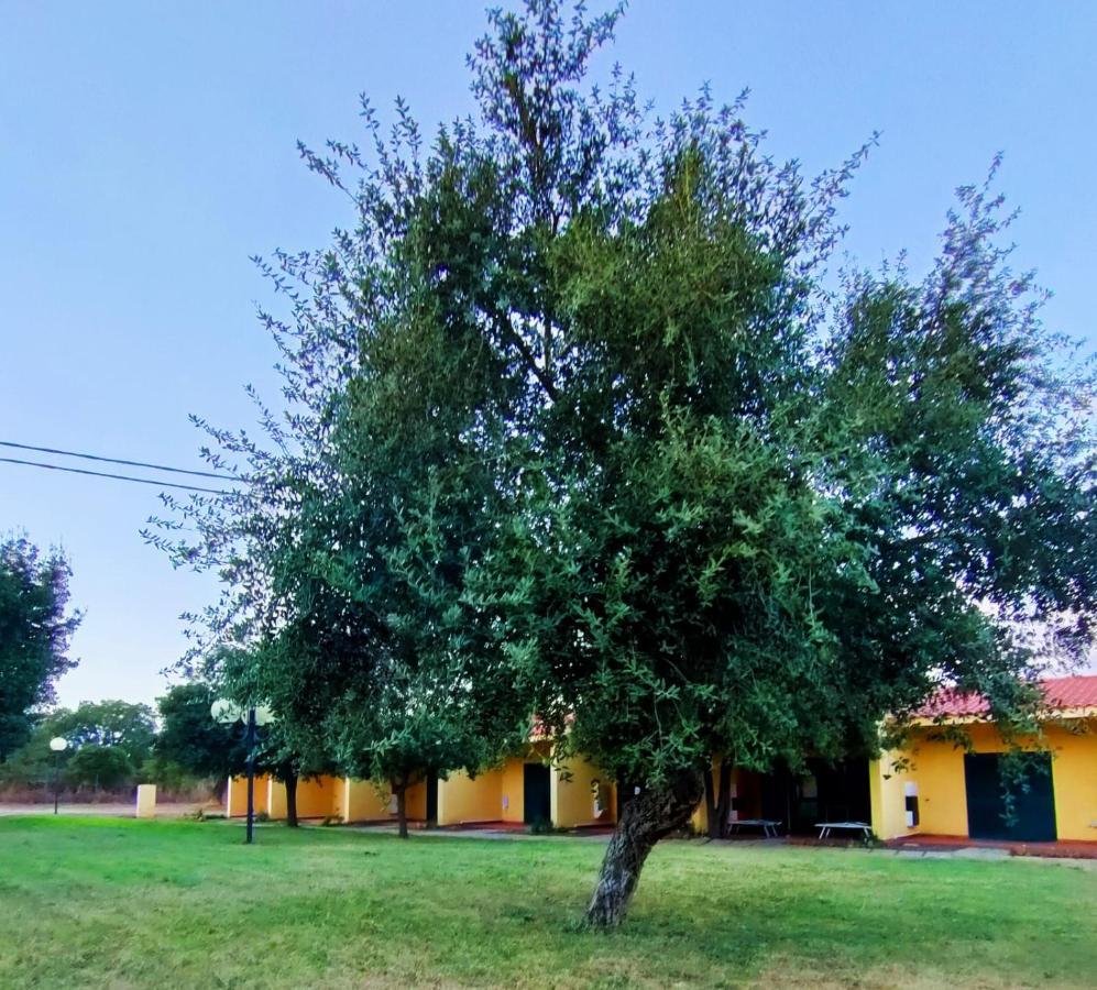 Nuraghe Ruiu Camping & Bungalow Norbello Exteriér fotografie