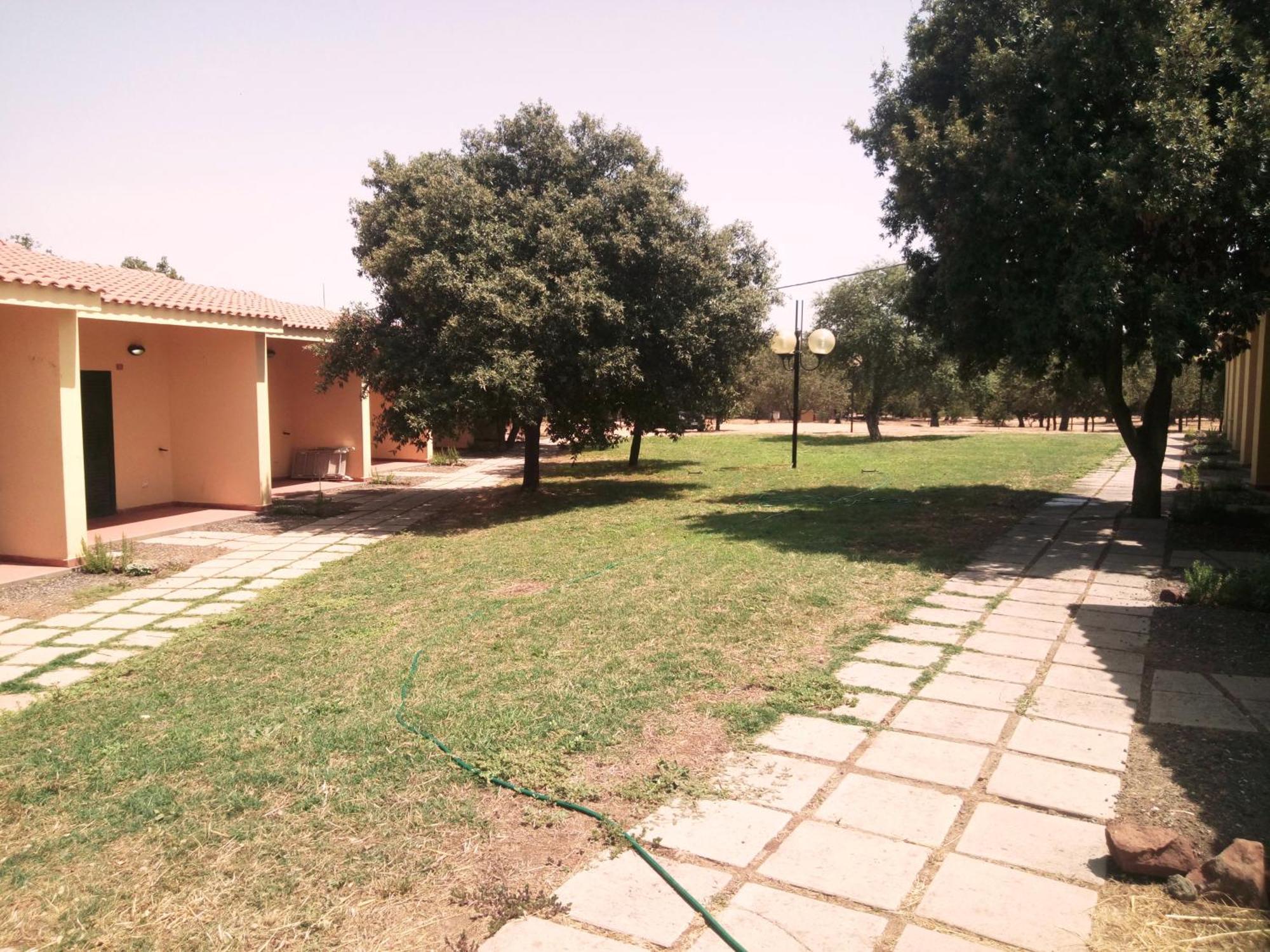 Nuraghe Ruiu Camping & Bungalow Norbello Exteriér fotografie